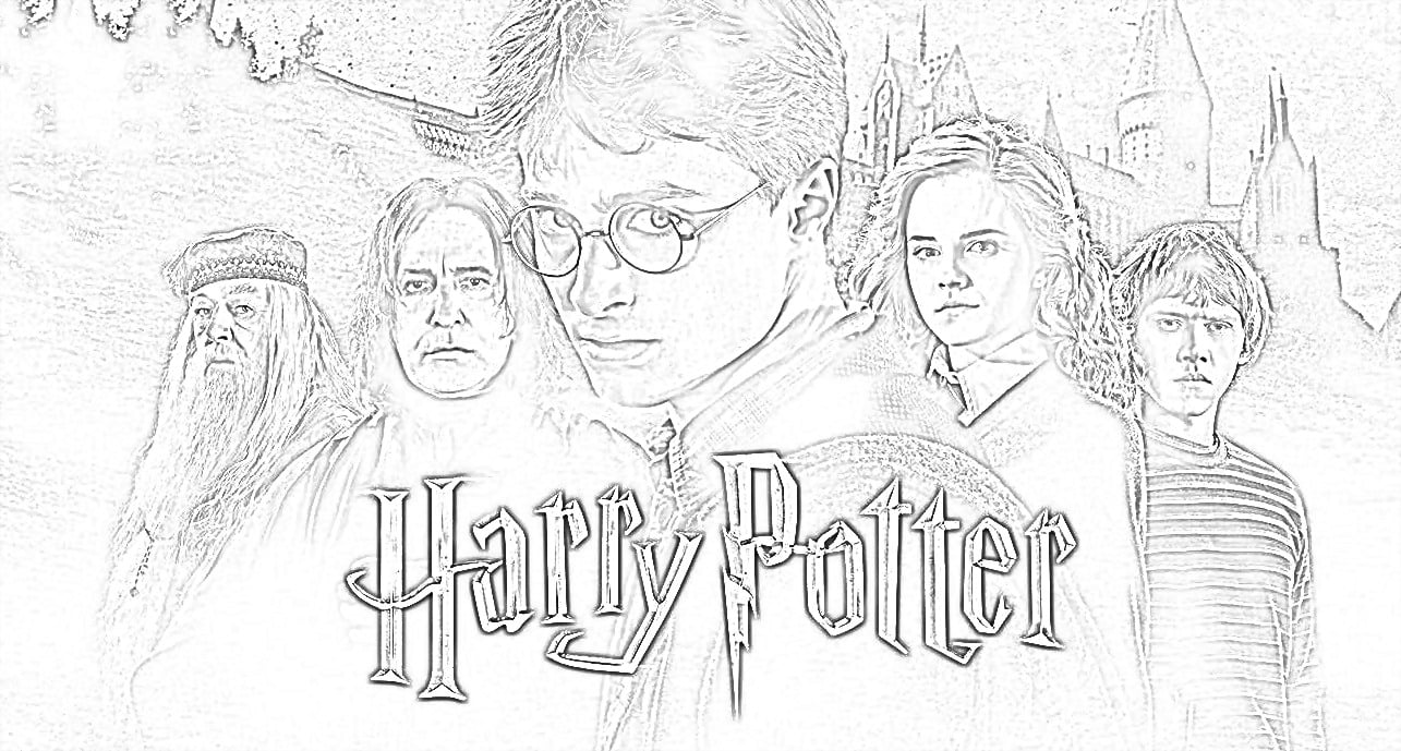 Harry Potter Pepe Lt