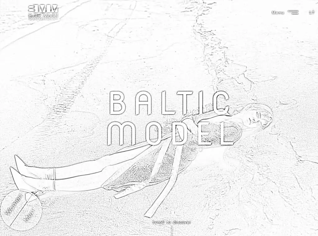 Einfärbung der Website von Baltic Model