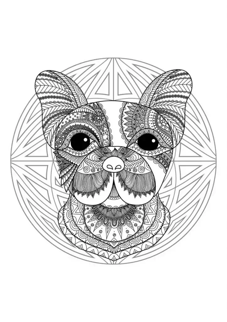 buldogi mandala