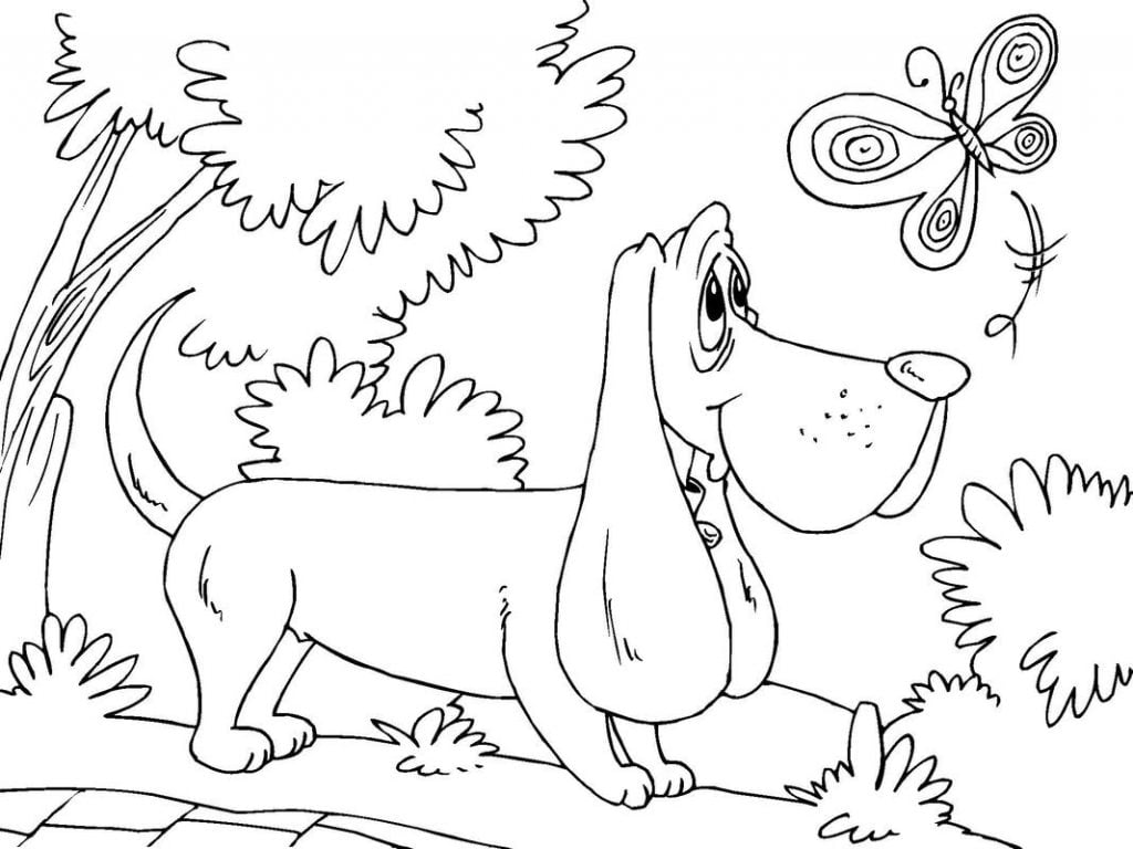 Desenhos de Animais para Colorir - @ Desenhos Para Colorir  Animais para  colorir, Desenhos infantis para colorir, Desenho de cachorro