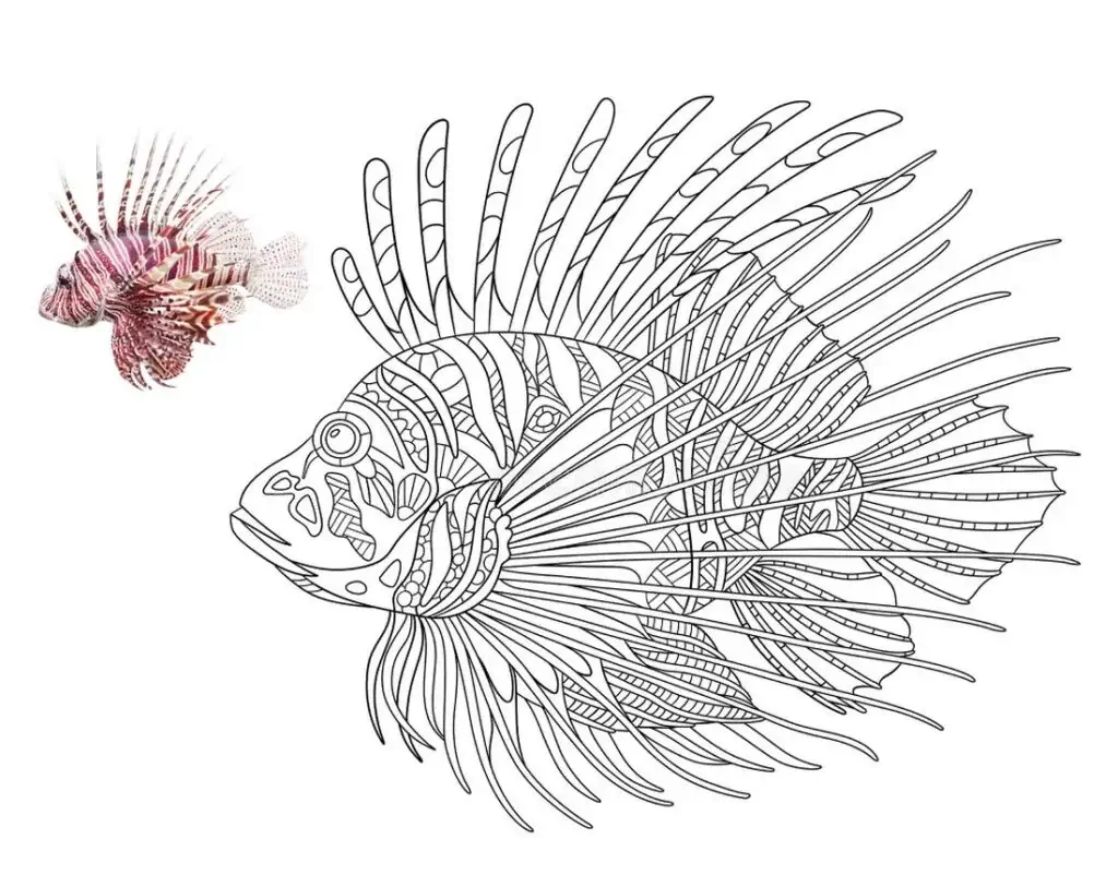 Pesce Leone (Pterois volitans) da colorare