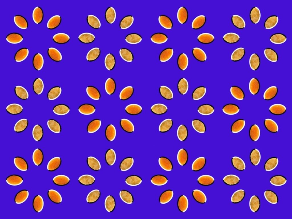 illusione ottica di semi rotanti.