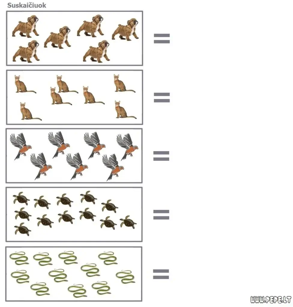 Sarcina de matematică numără animalele