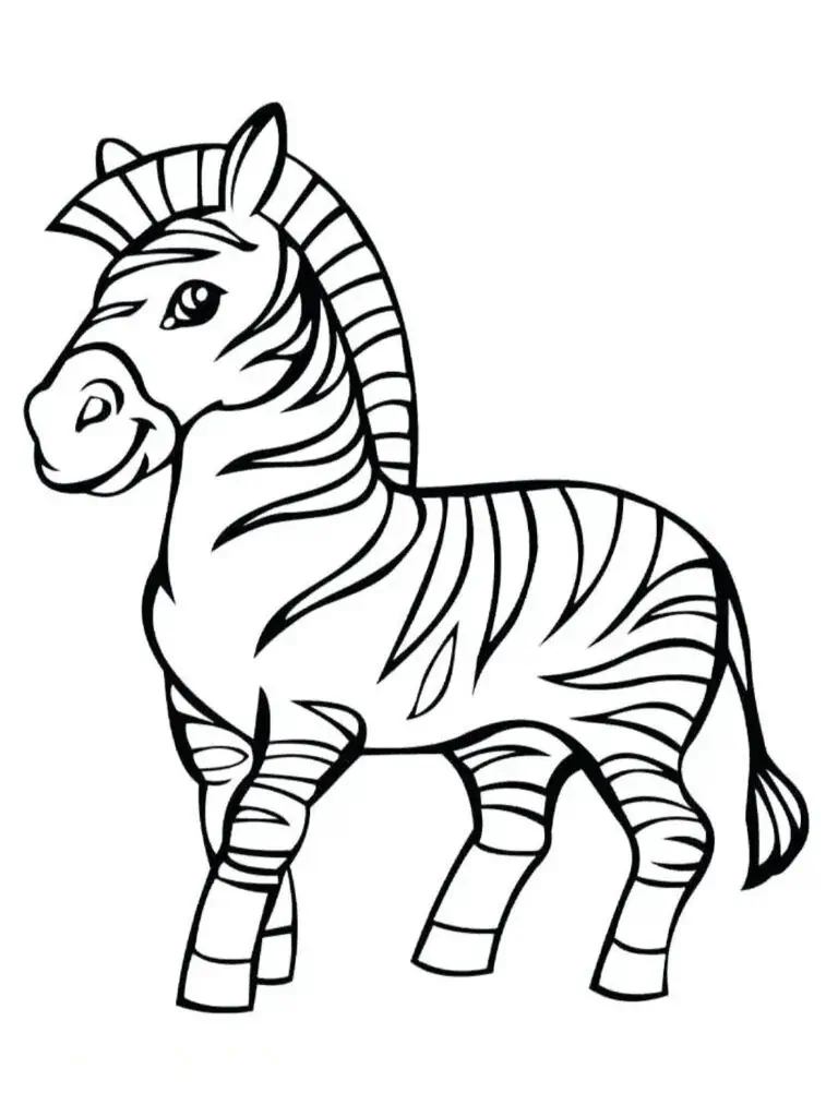 Zebra litabækur