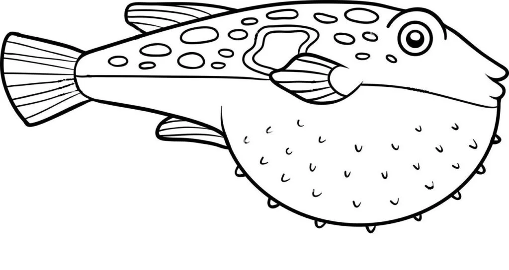 Pesce FUGU Tetraodontidae