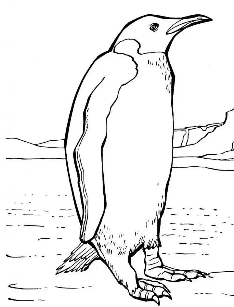 Pinguin në ngjyrë