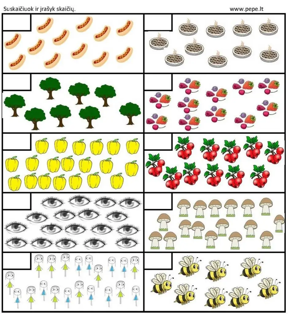 Compoziţie. Numărați articolele. Matematică pentru elevii de clasa I