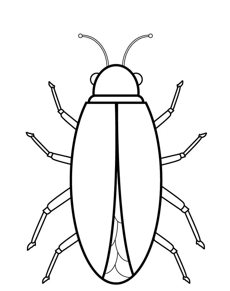 Kakerlakenzeichnung Ausmalbilder