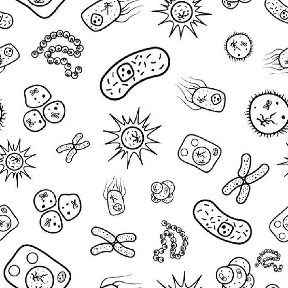 Desenho de Bactérias para colorir  Desenhos para colorir e imprimir gratis
