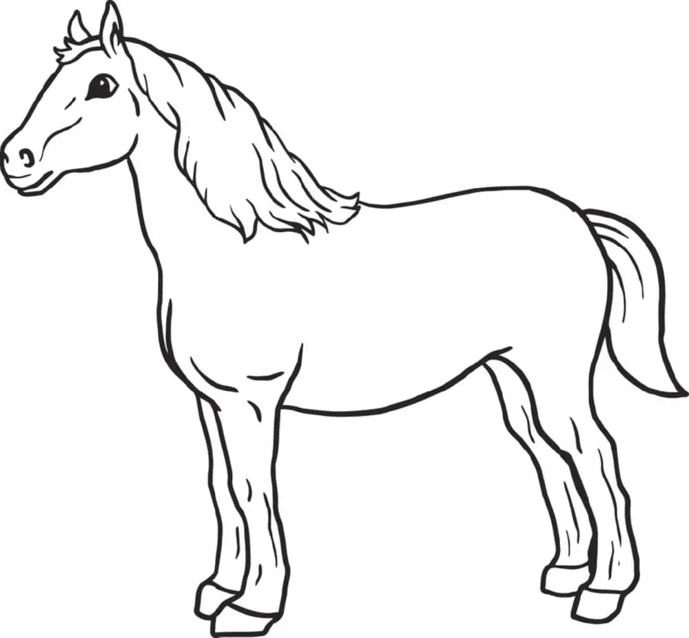 Caballo para colorear.